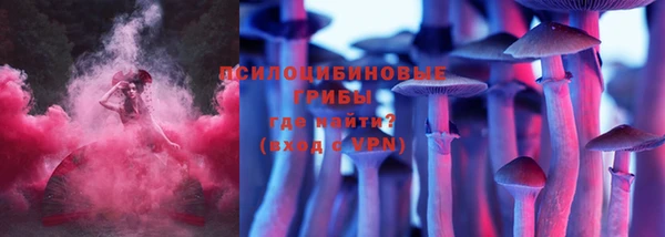 крисы Горнозаводск