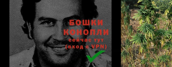 метадон Горняк