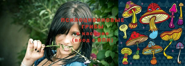 метадон Горняк