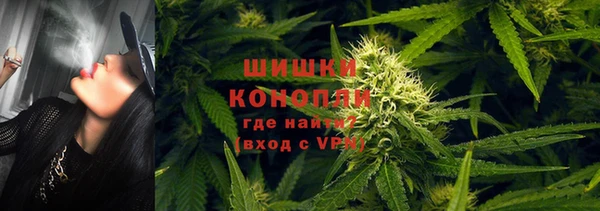 крисы Горнозаводск