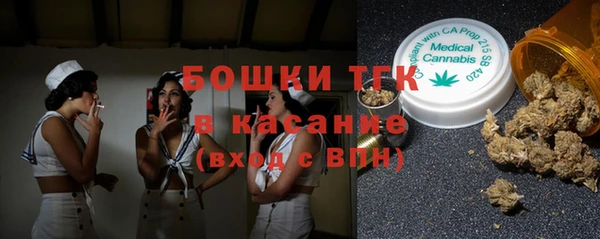 крисы Горнозаводск